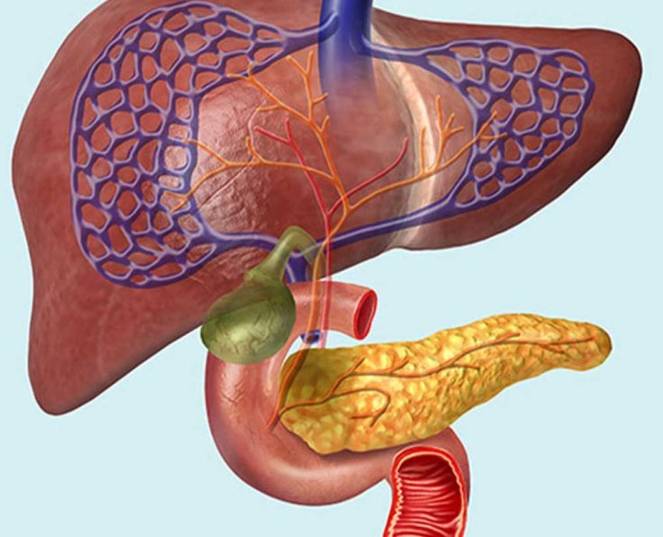 Heapatobiliary-Surgery